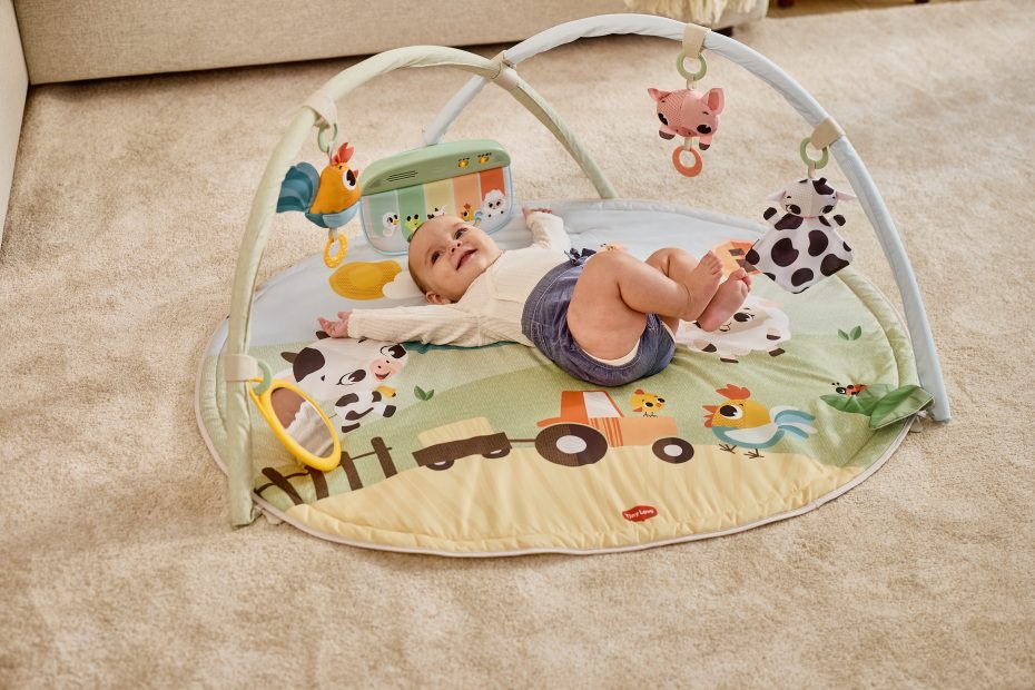 TINY LOVE – TAPETE DE ATIVIDADES FUNDAY FARMERS - Image 4