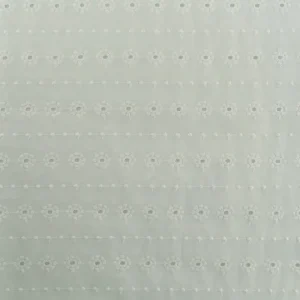 Branco perfurado de branco